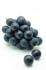 ナガノパープル