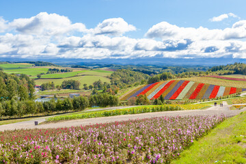 四季彩の丘　北海道　美瑛