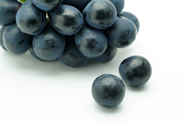 ナガノパープル