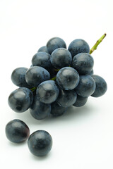 ナガノパープル