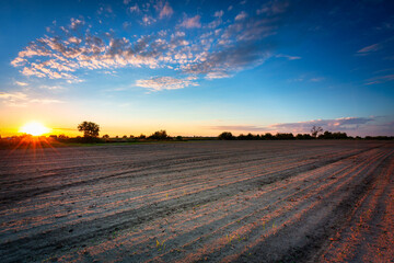 Fototapeta premium Beautiful landscape of a plowed field at sunset. Poland