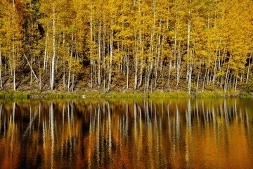 Fall Foliage Reflection