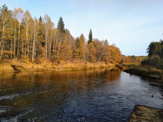 autumn landscape with river