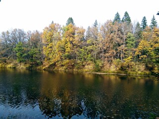 Fototapeta na wymiar river near the autumn forest