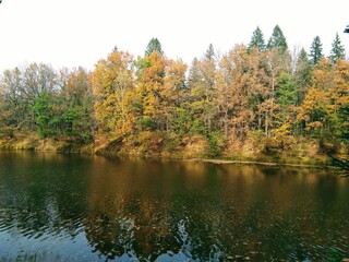 autumn trees reflected in water