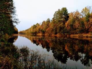 autumn trees reflected in water