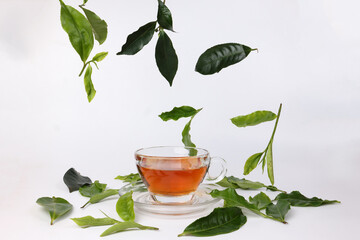 different types of fresh raw green tea leaf flower bud dropping floating elevated over transparent...