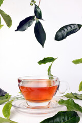 different types of fresh raw green tea leaf flower bud dropping floating elevated over transparent glass teacup saucer liquid tea on white background