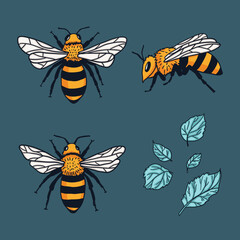 Vector set with bees and leaves. Hand drawn illustration