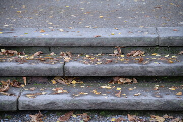 vergilbte Baumblätter auf der Steintreppe und Stufen in den Park