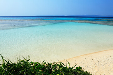 コーラルビーチ