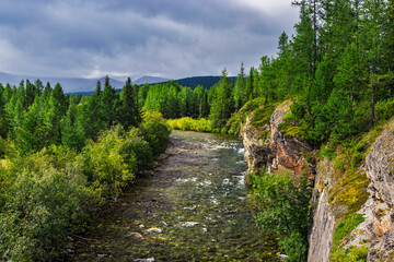 mountain river flowing among the rocks in a forest area
