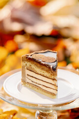 Chocolate cake slice on wood table in grass autumn style garden outdoor - delicate almond biscuit with Mascarpone cheese on white chocolate, crispy Belgian chocolate