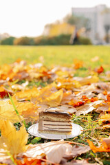 Chocolate cake slice on white plate in grass autumn style garden outdoor - delicate almond biscuit with Mascarpone cheese on white chocolate, crispy Belgian chocolate