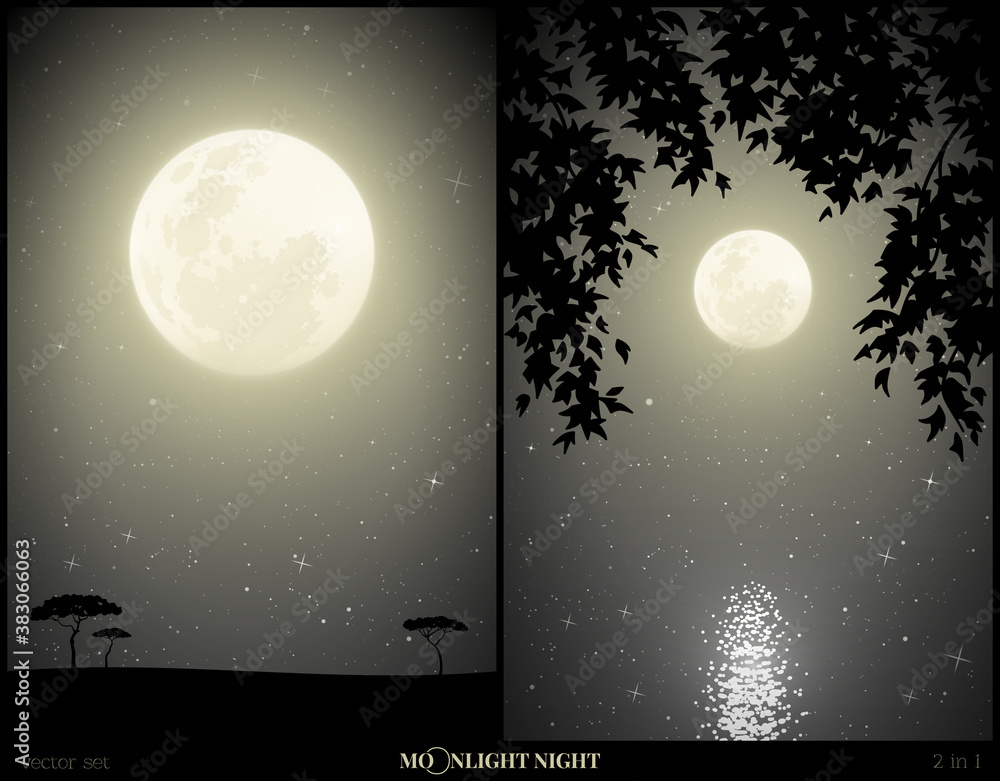 Canvas Prints landscape with lake framed by branches on moonlight night. mysterious vertical background with savan