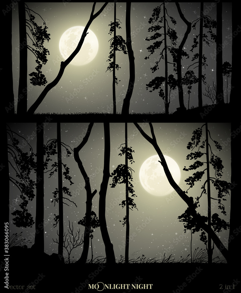 Canvas Prints landscape with mixed forest on moonlight night. dark mysterious horizontal background with full moon