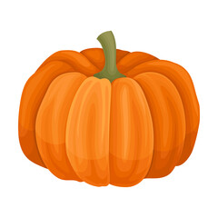 Orange Round Pumpkin with Smooth, Slightly Ribbed Skin Vector Illustration
