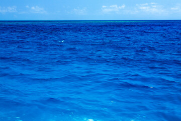 Obraz premium 青い海