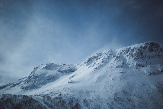 Winter night