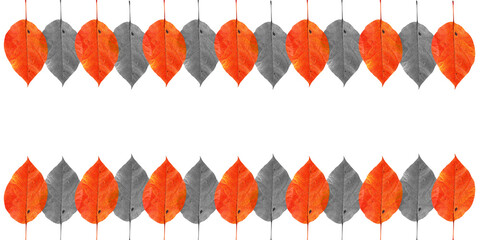 Fototapeta premium pattern with autumn red, orange and yellow leaves isolated on white background