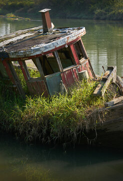 Decaying Ship. Tall grass takes over an abandoned boat on the river bank.

