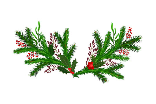 Bright Coniferous Tree Branch and Holly Berry Arranged in Semicircular Vector Composition