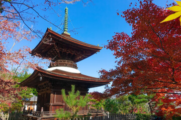 紅葉に染まった京都・嵯峨野の常寂光寺（多宝塔）