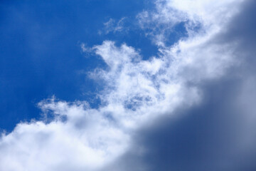 Fototapeta premium 青空と雲