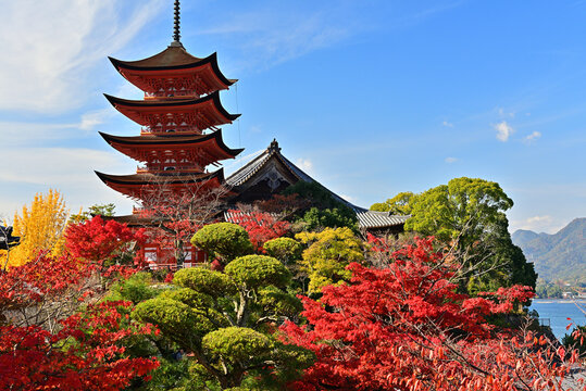 安芸の宮島」の写真素材 | 1,438件の無料イラスト画像 | Adobe Stock