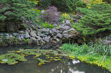 Natural stone pond landscaping with aquatic plants and water lilies in park.