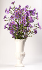 Bouquet of small garden asters in a vase on a white background.
