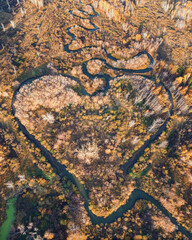 Heart shaped river in Altai territory. Autumn forest. Wonder of nature place, aerial drone view