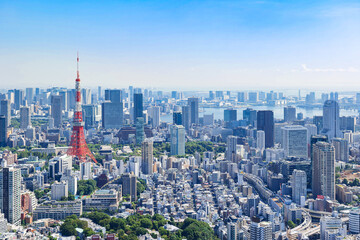 Fototapeta premium 東京タワーと湾岸エリア