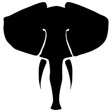 vector illustration of an African elephant head. front view