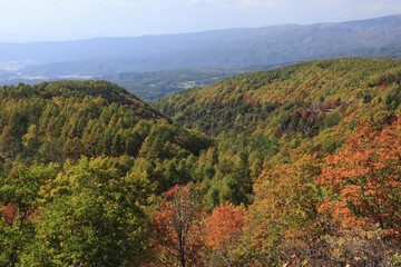 紅葉の山