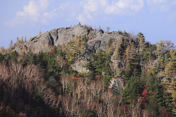 紅葉の山