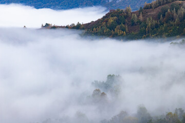 beautiful early autumn nature background foggy trees in the mountains