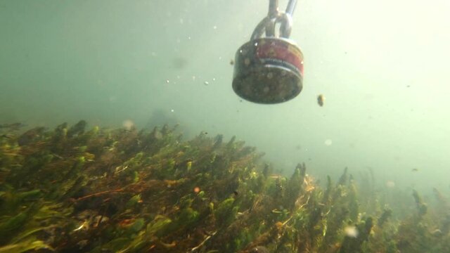 an under water view of a magnet picking up iron rocks and searching for treasures under the river and bouncing on rocks and through the weeds knocking up rocks and debris.