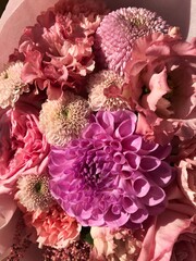 Beautiful bouquet of pink flowers close up