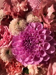 Beautiful bouquet of pink flowers close up