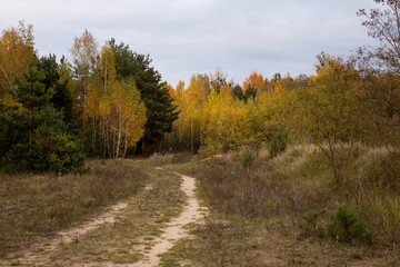 Fototapeta na wymiar Landscape autumn time