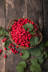 Red berries of fresh hawthorn in the basket standing on a wooden table. Copy space.