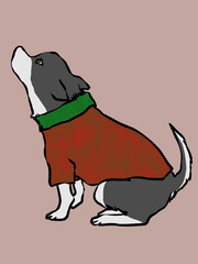 ニットを着た小型犬がお座りしている手描きイラスト