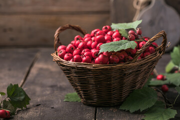 Red berries of fresh hawthorn in the basket standing on a wooden table. Copy space.