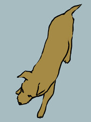 歩いている犬を上から見た手描きイラスト