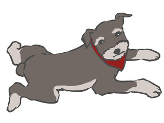 赤いタイを付けた小型犬が伏せをしている手描きイラスト(白バック)