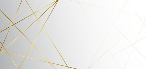 Fototapeta premium Abstract white and grey triangle background with golden line luxury. You can use for ad, poster, template, business presentation.