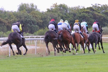 An amazing horse racing in racecourse