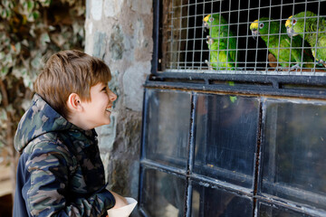 Gorgeous school kid boy feeding parrots in zoological garden. Child playing and feed trusting friendly birds in zoo and wildlife park. Children learning about wildlife and parrot.