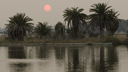 Smoky Skies block the reddish sun over Baylands Nature Preserve during 2020 California Wildfires....